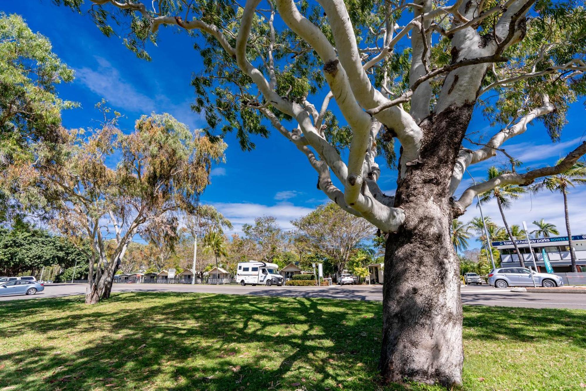 Big4 Tasman Holiday Parks - Rowes Bay Townsville Exteriör bild